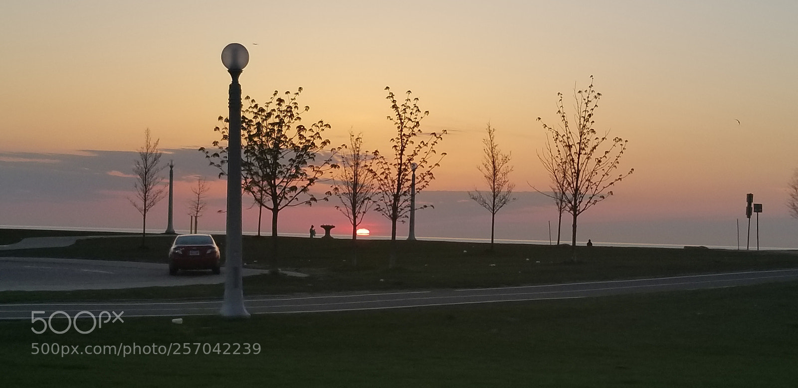 Samsung Galaxy S8+ sample photo. Untitled photography