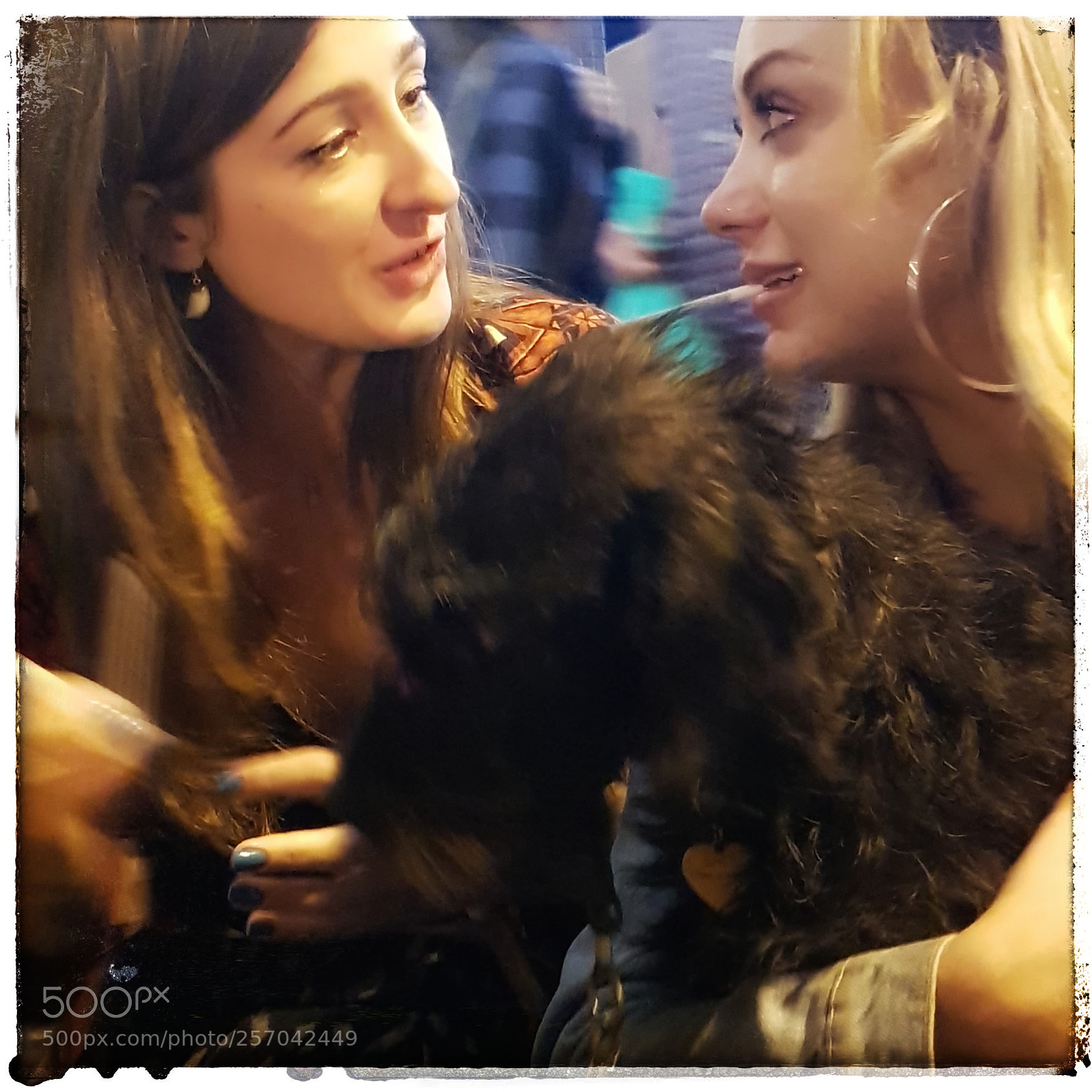 Samsung Galaxy S8 sample photo. Bella's new friends photography