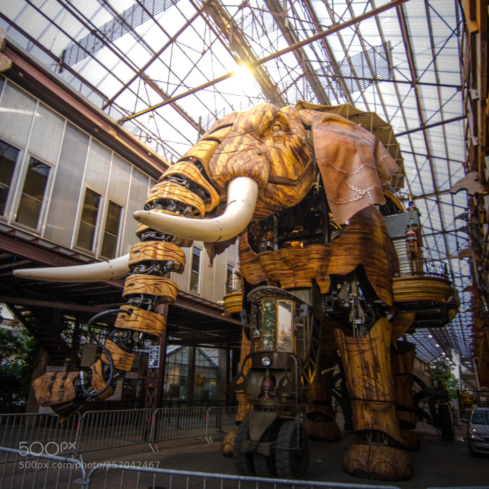 Nikon D5100 sample photo. Elephant photography