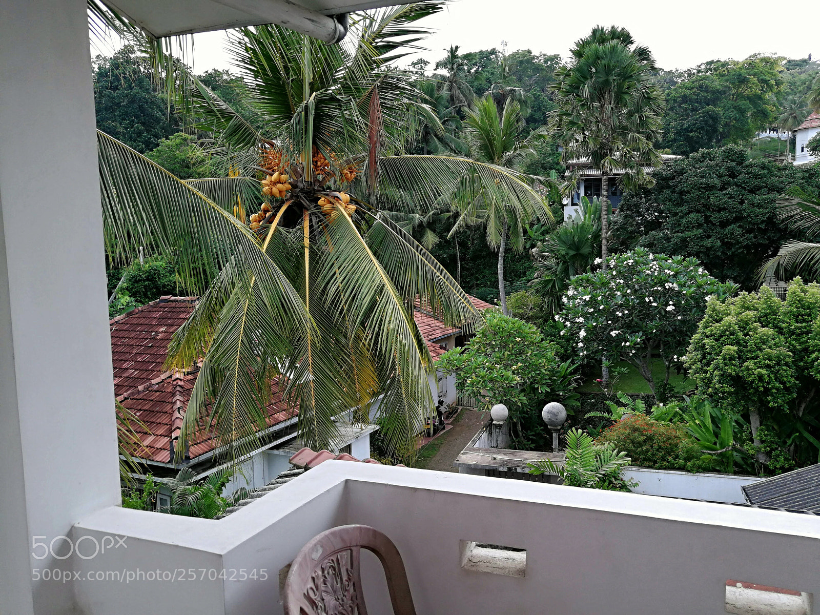 HUAWEI P10 Plus sample photo. Untitled photography