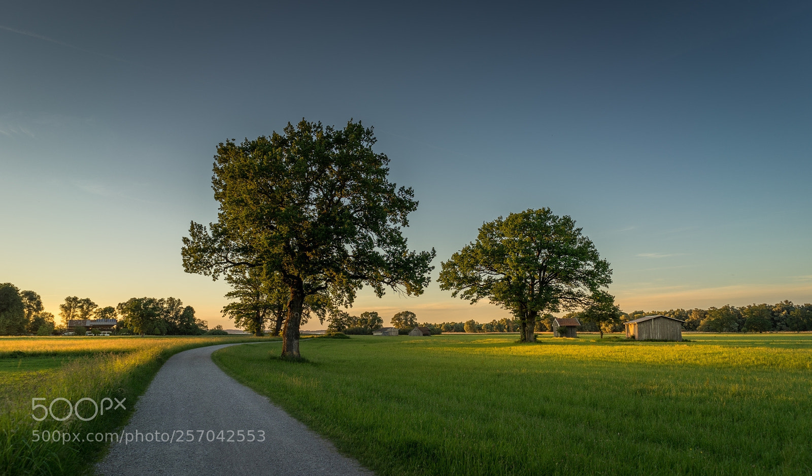 Sony a7 II sample photo. Lachsgang sunset stroll photography