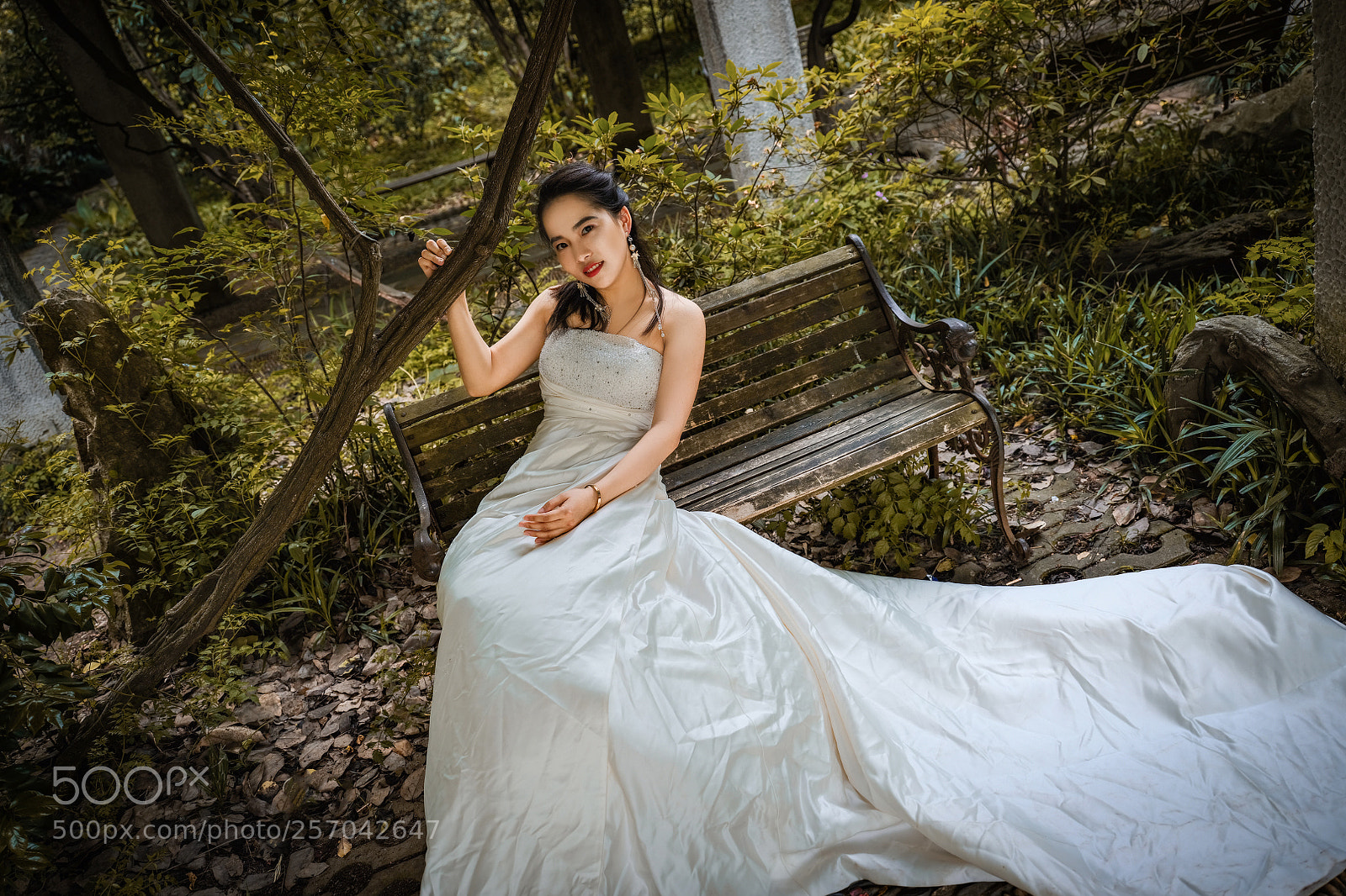 Fujifilm GFX 50S sample photo. Untitled photography