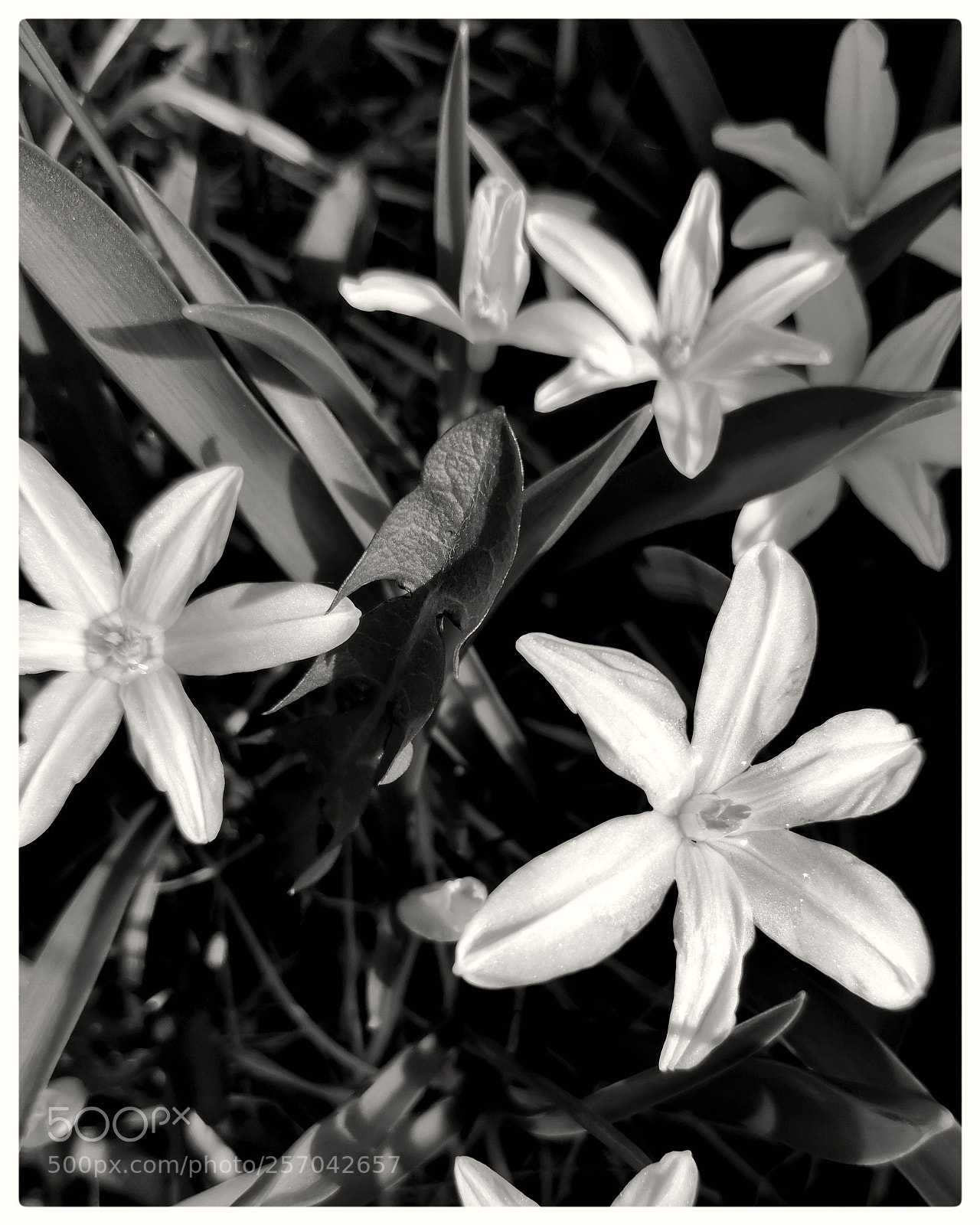 HUAWEI CLT-L29 sample photo. Untitled photography