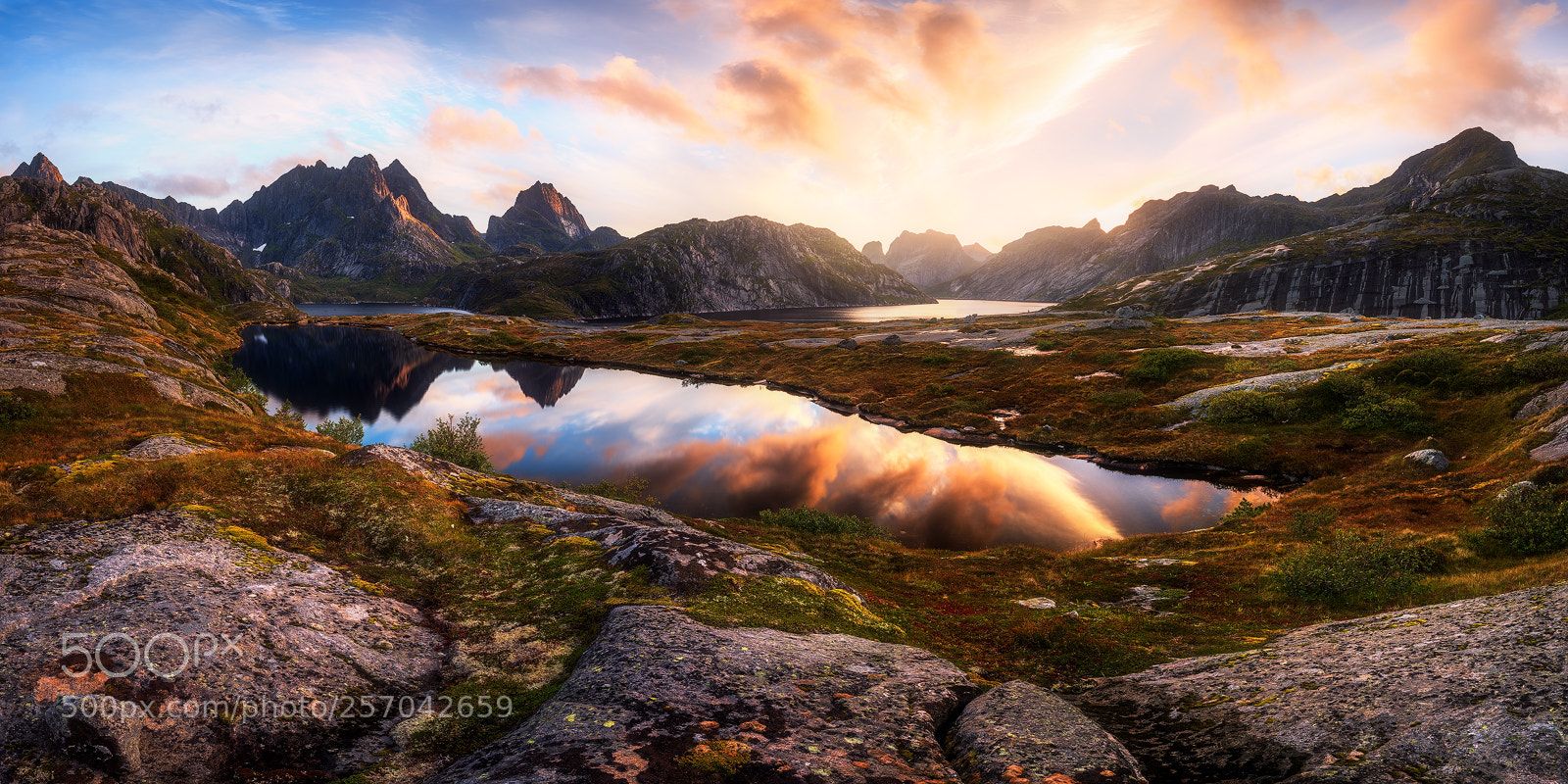 Nikon D810 sample photo. Golden evening in norway photography