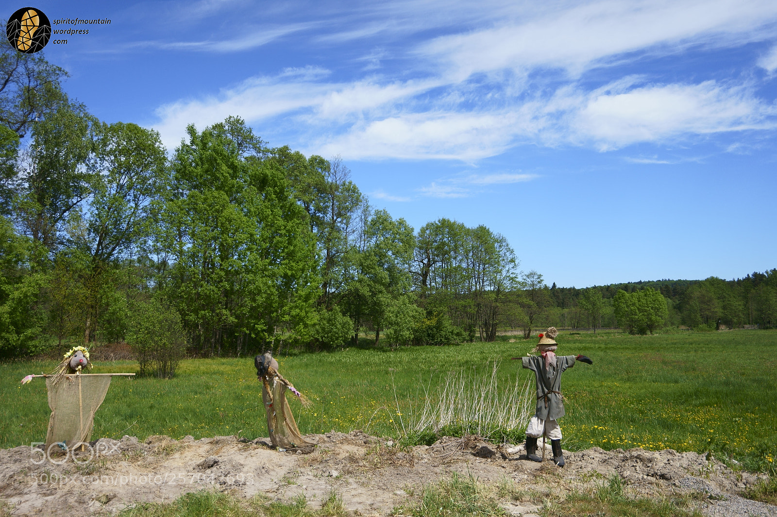 Sony Alpha a5000 (ILCE 5000) sample photo. Scarecrows photography