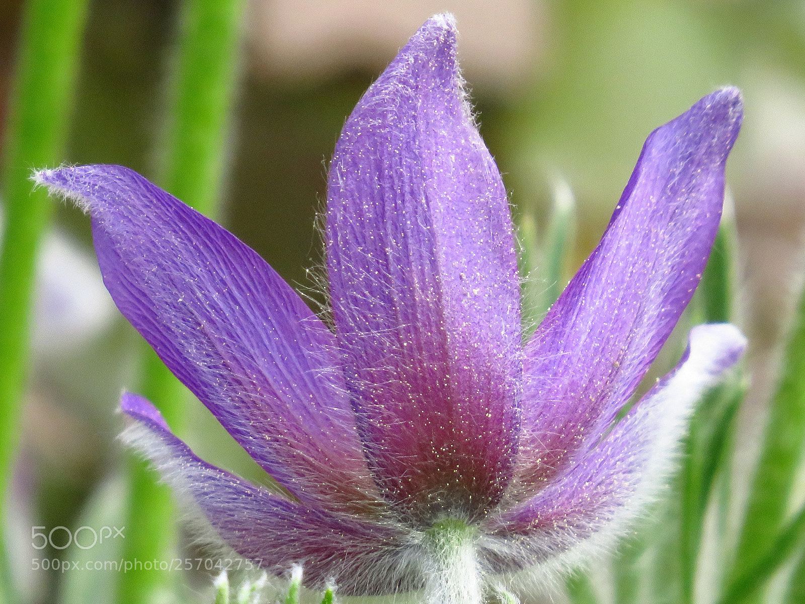 Canon PowerShot SX540 HS sample photo. Img photography