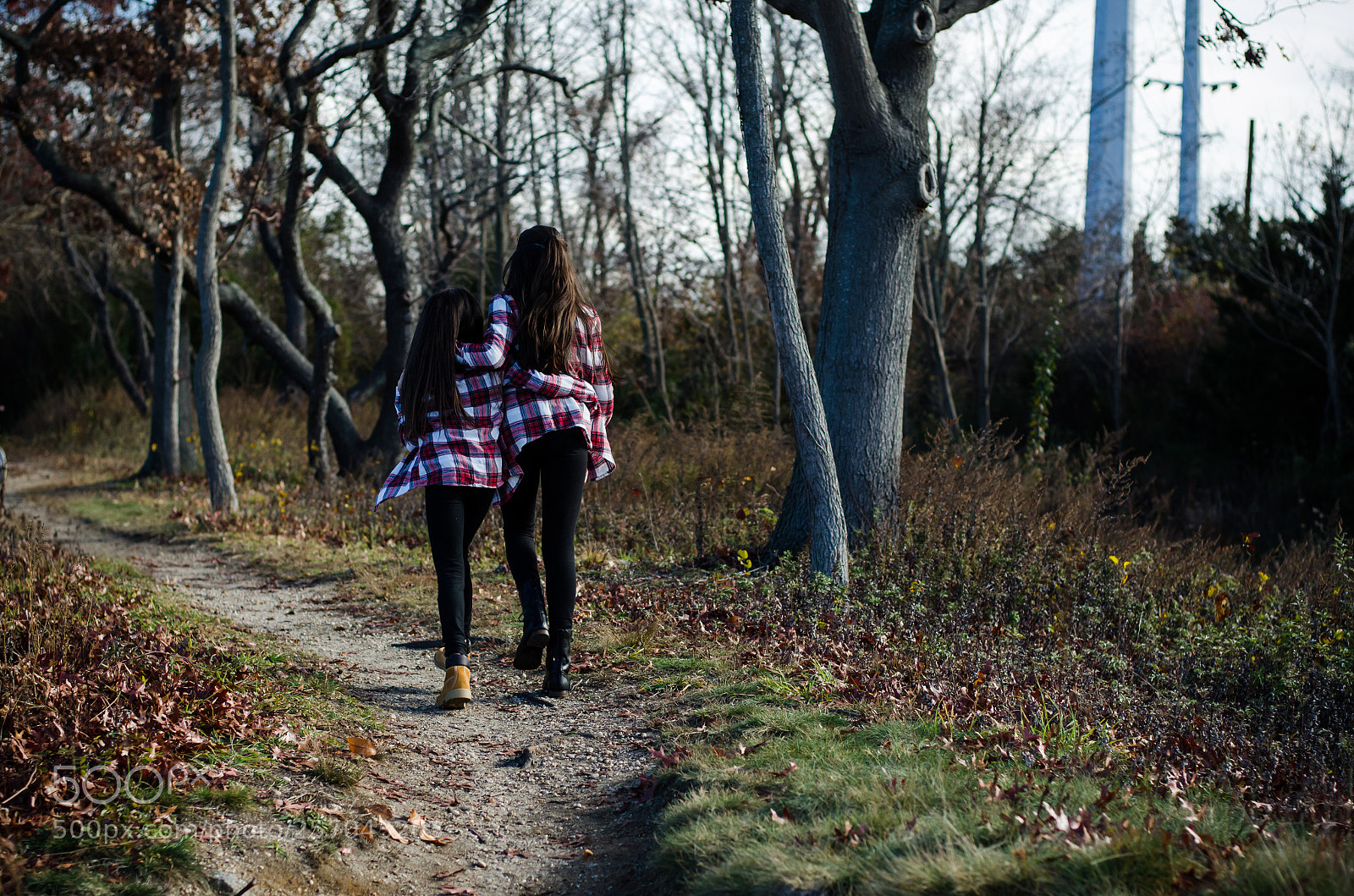 Nikon D7000 sample photo. Untitled photography