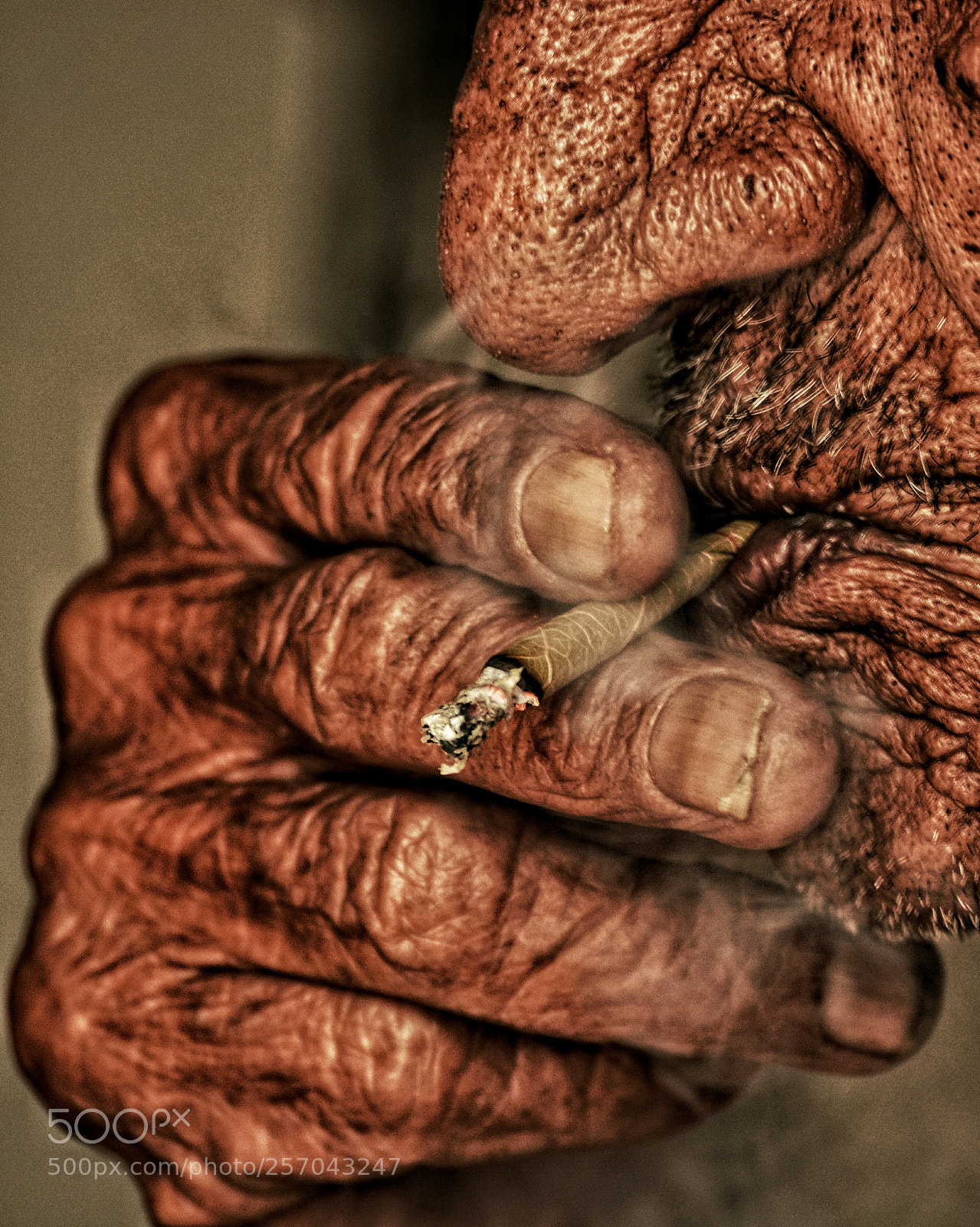Nikon D5200 sample photo. Untitled photography