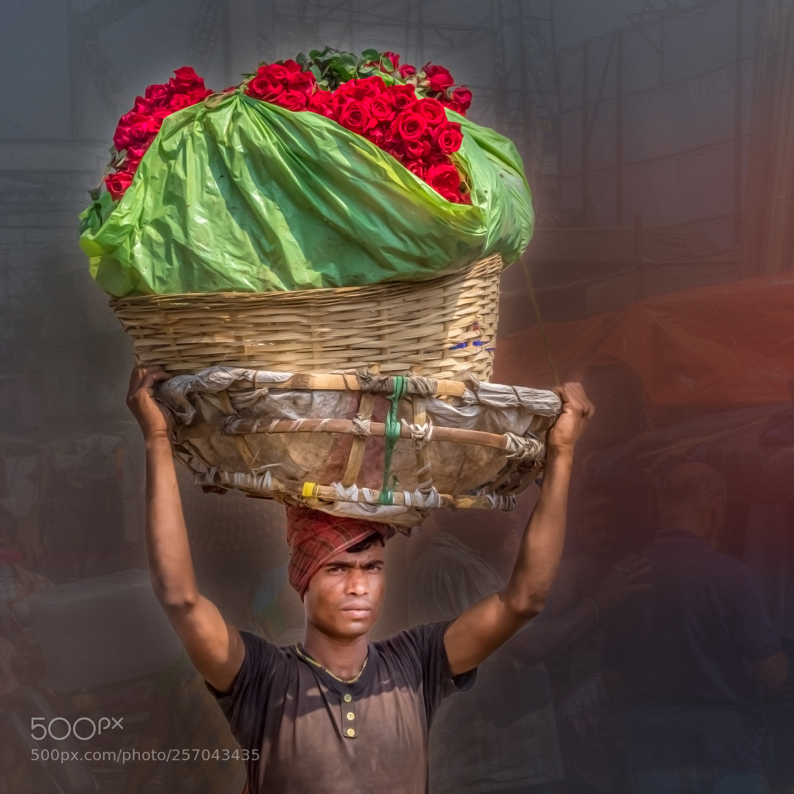 Nikon D810 sample photo. Roses photography