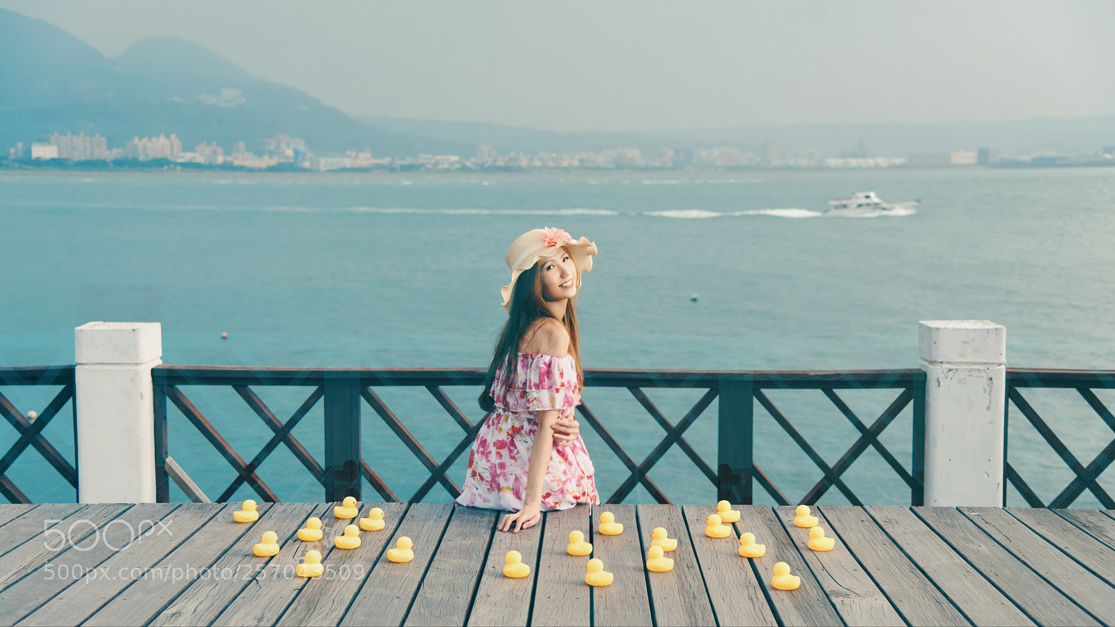 Nikon D750 sample photo. 逆襲的夏鴨 photography