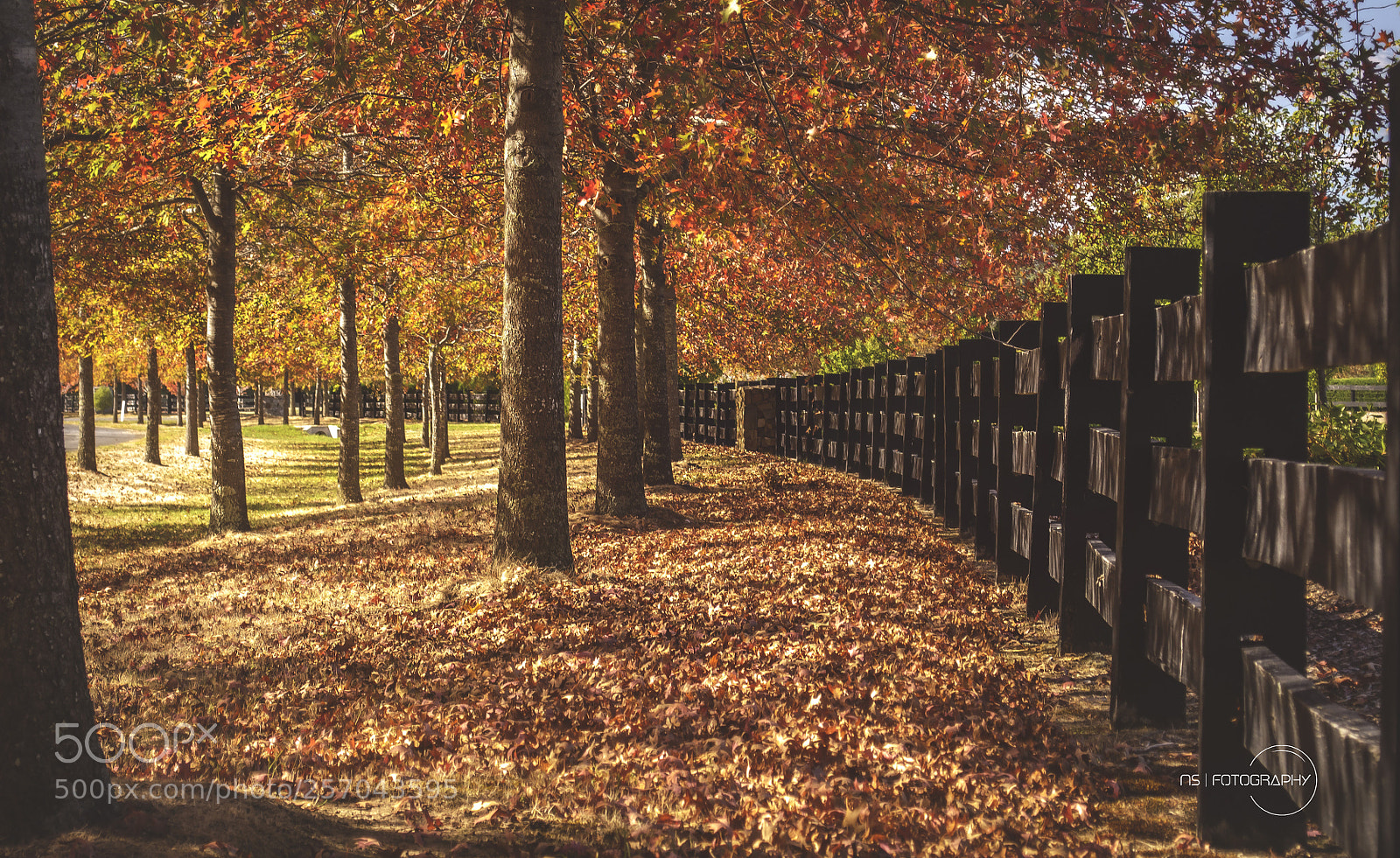 Nikon D3100 sample photo. Seasonal changes are just photography