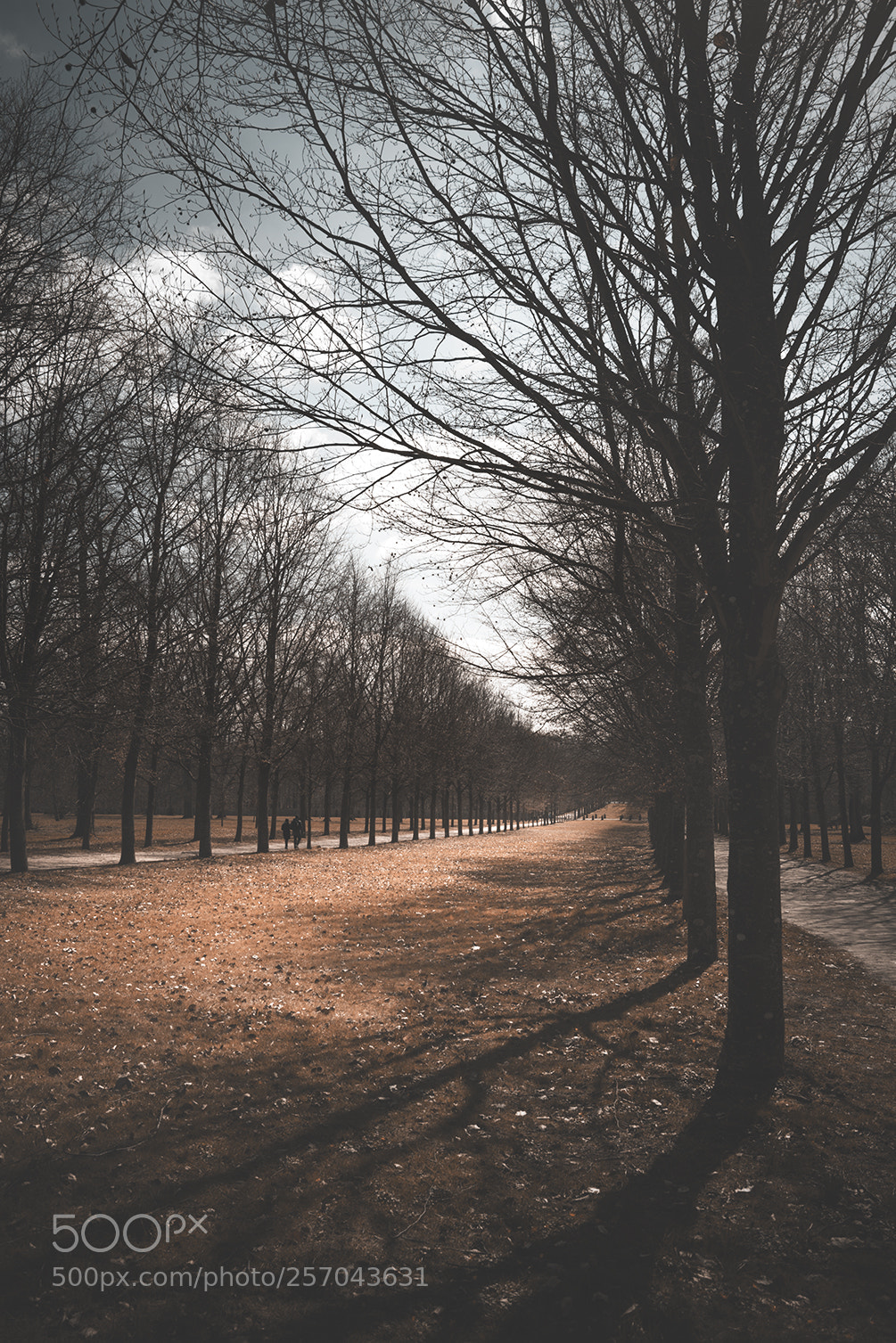 Nikon D7100 sample photo. Château de versailles photography