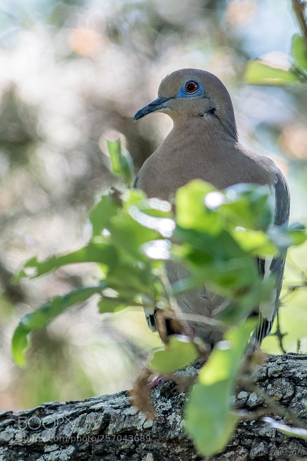 Nikon D850 sample photo. You can't see me photography