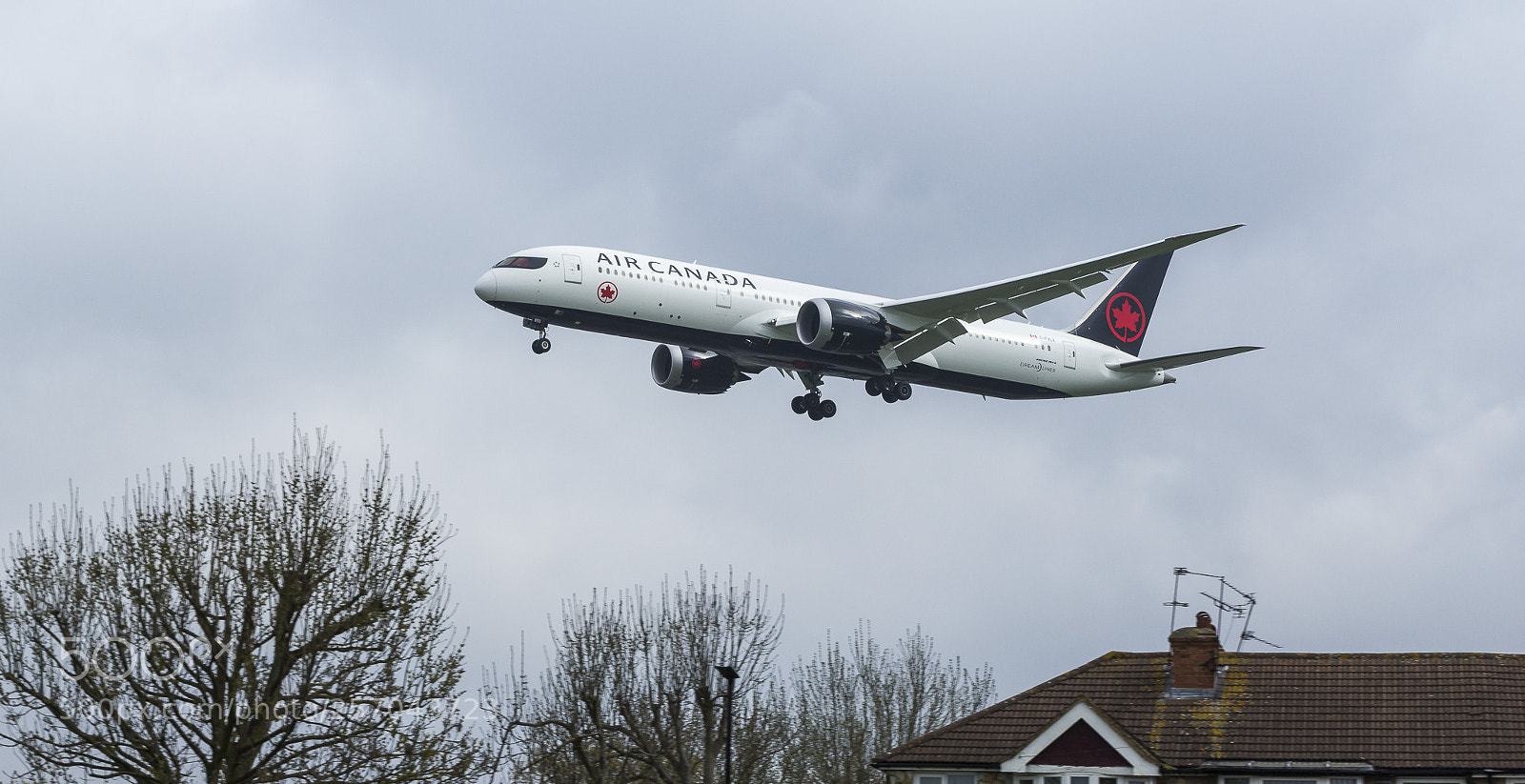 Canon EOS 60D sample photo. C fvlx boeing dreamliner photography