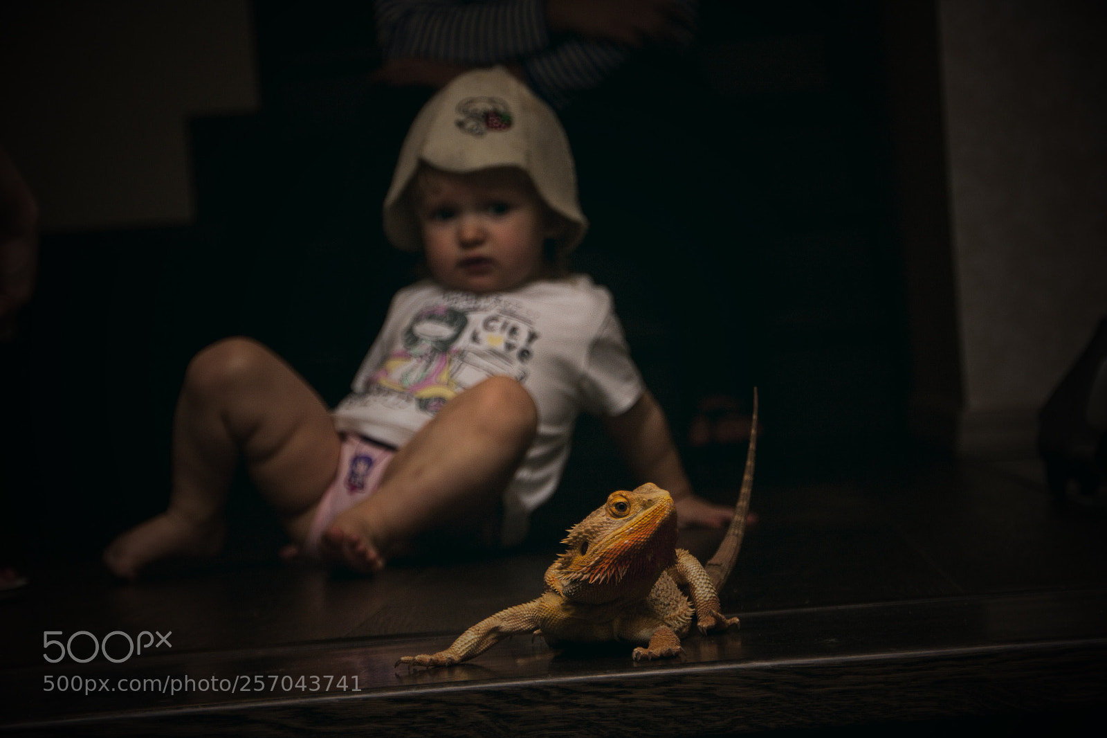 Canon EOS 450D (EOS Rebel XSi / EOS Kiss X2) sample photo. Lizard vs. child photography