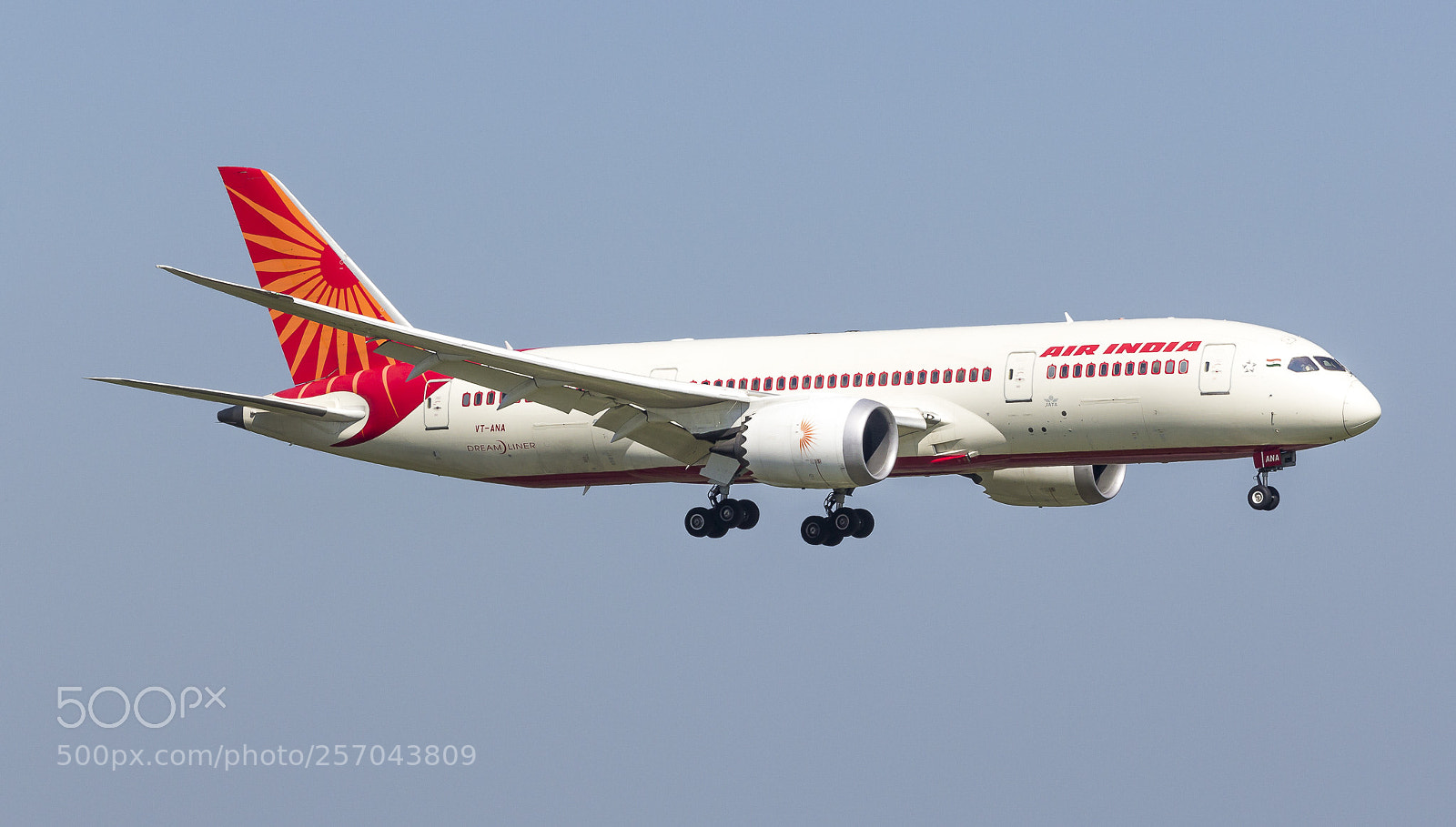 Canon EOS 60D sample photo. Vt ana boeing dreamliner photography