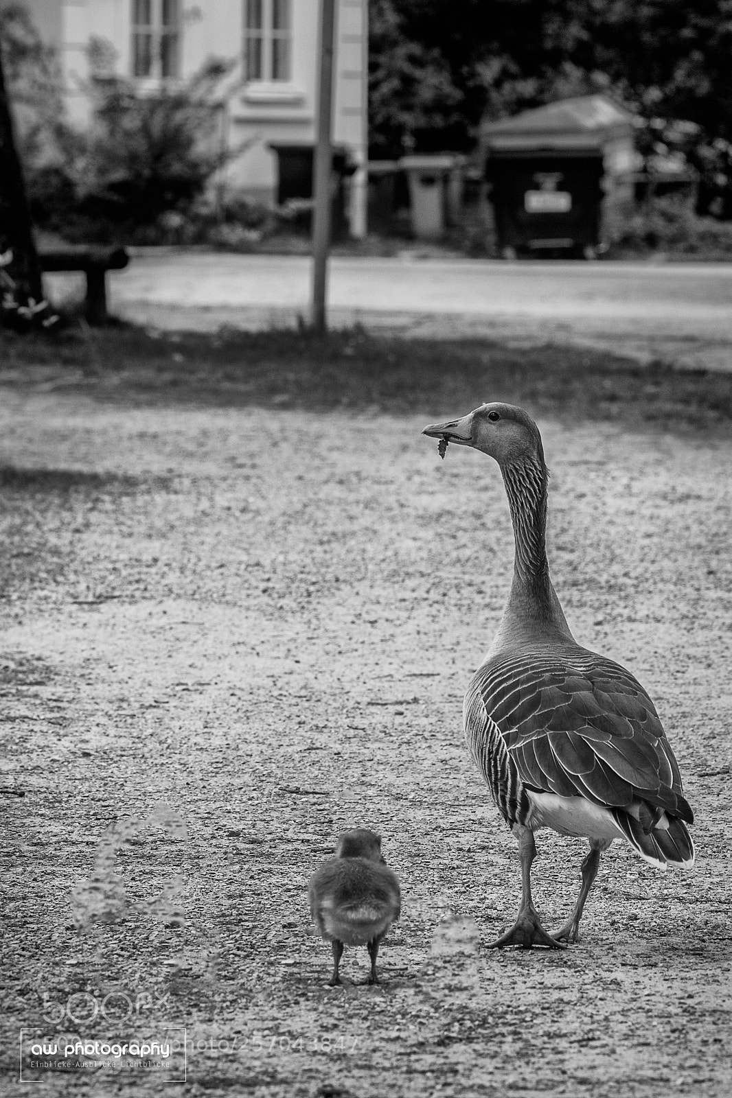 Canon EOS 6D sample photo. Family walk photography