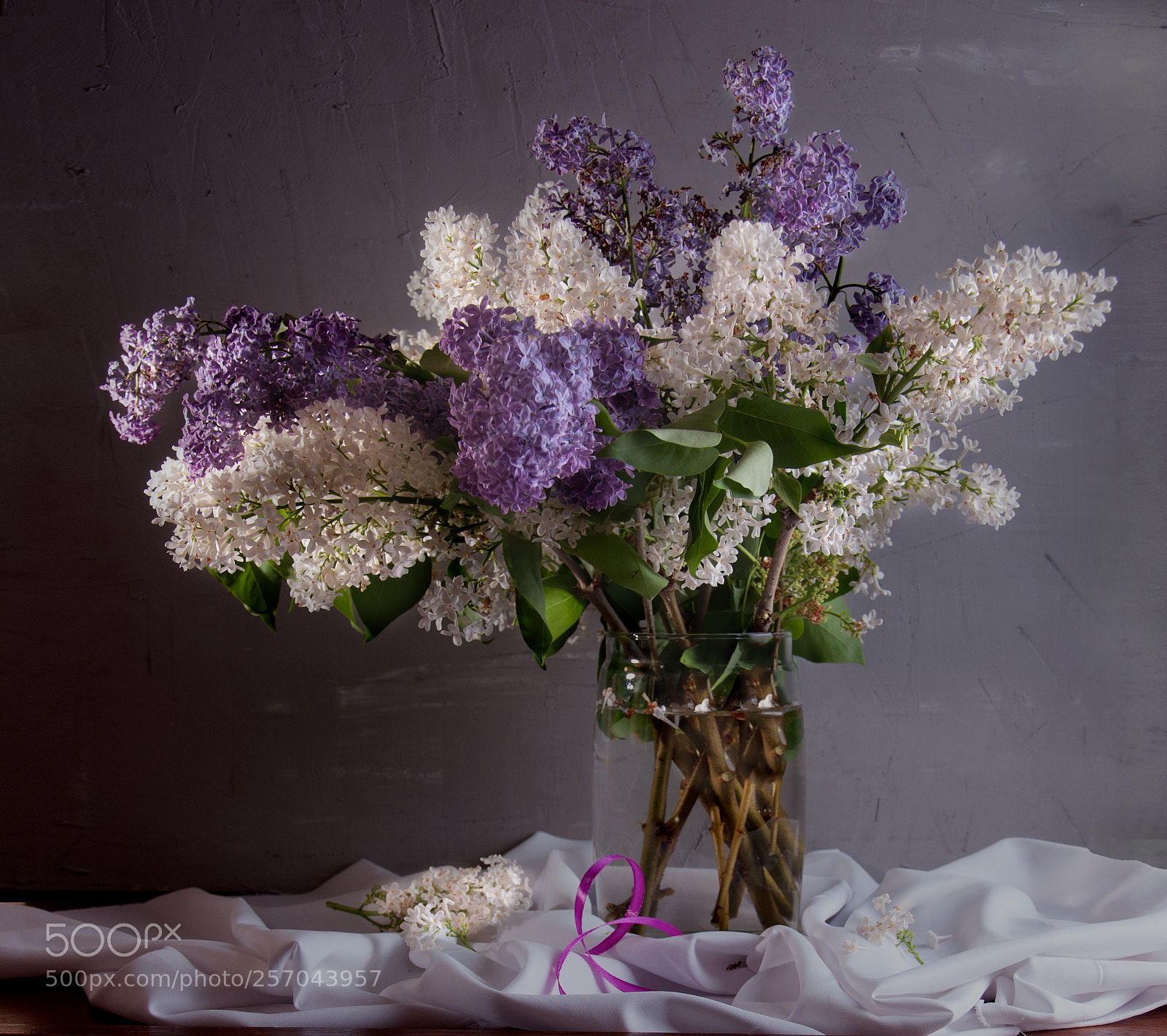 Nikon D90 sample photo. Lilac. photography