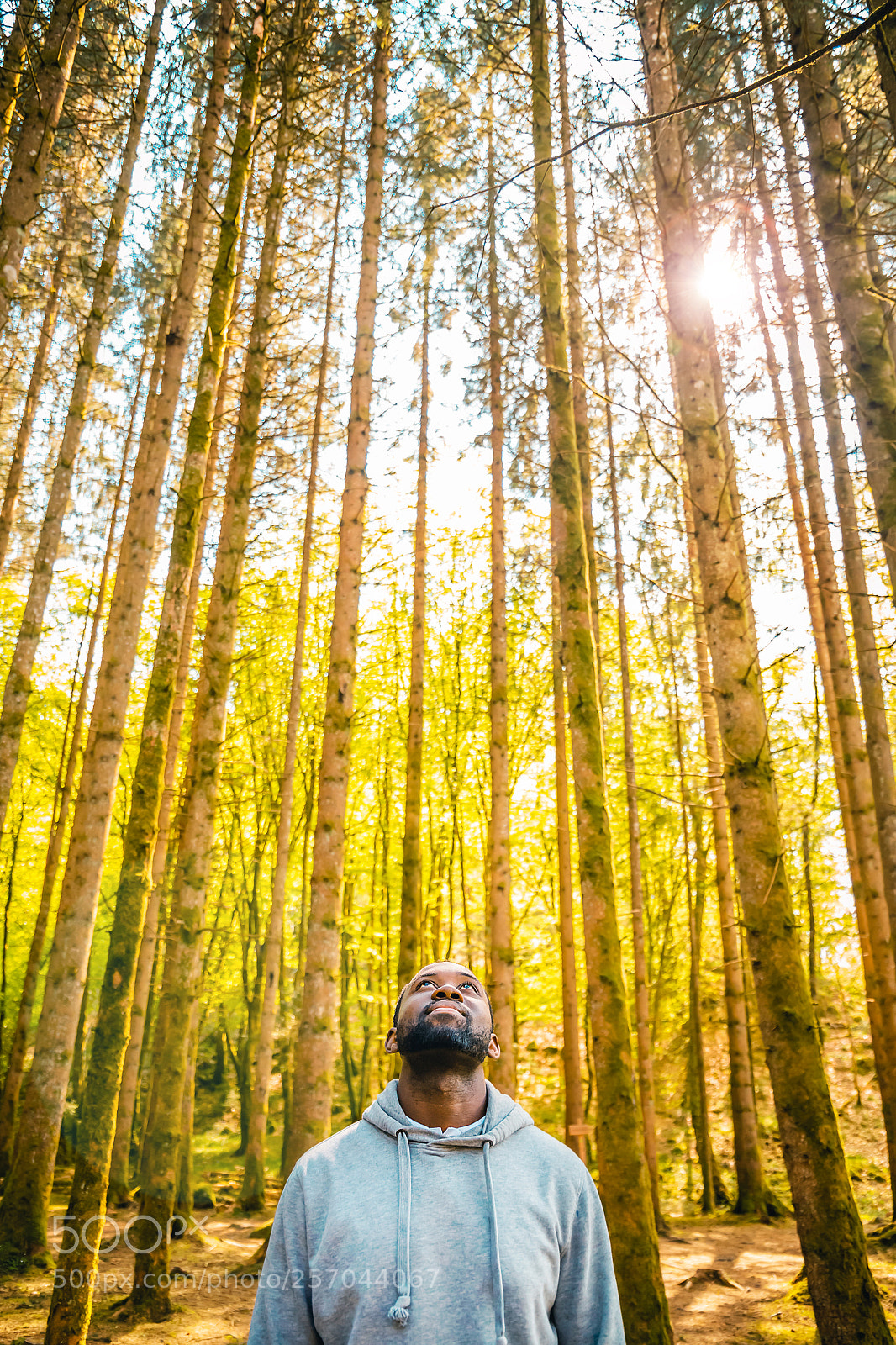 Canon EOS 6D sample photo. Up photography