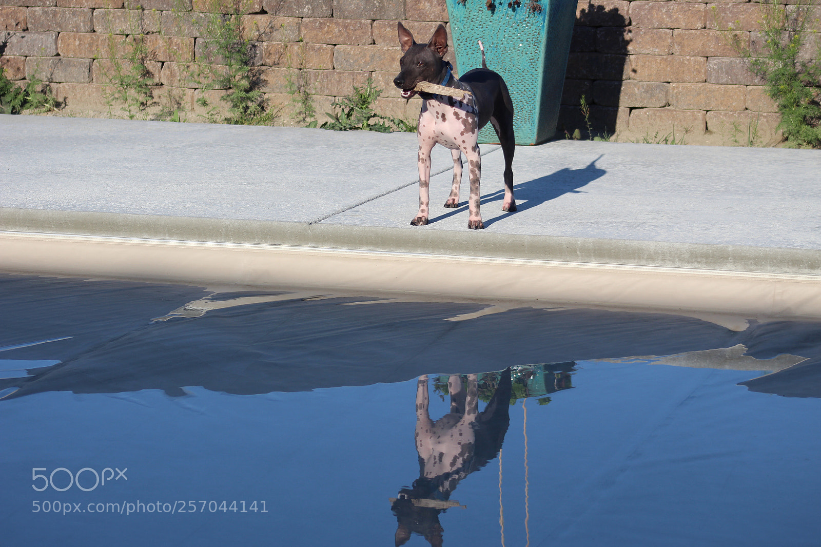 Canon EOS 1300D (EOS Rebel T6 / EOS Kiss X80) sample photo. Reflection photography