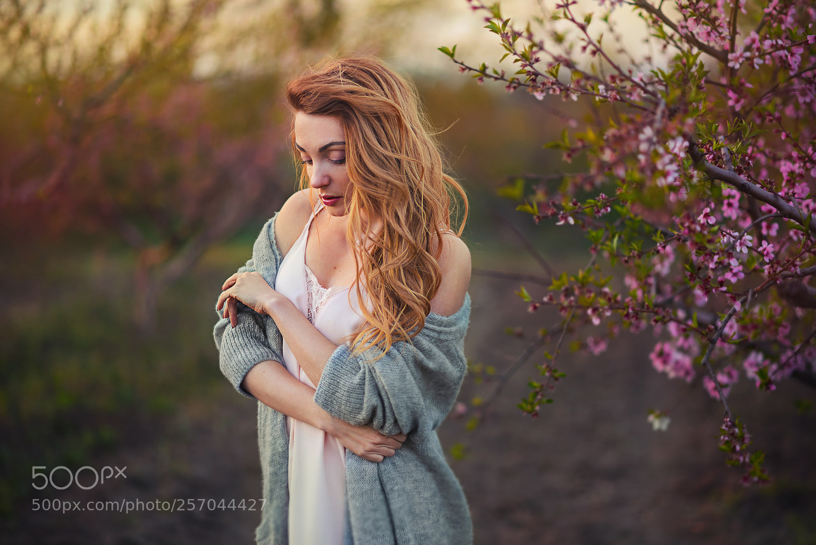 Nikon D610 sample photo. Spring photography