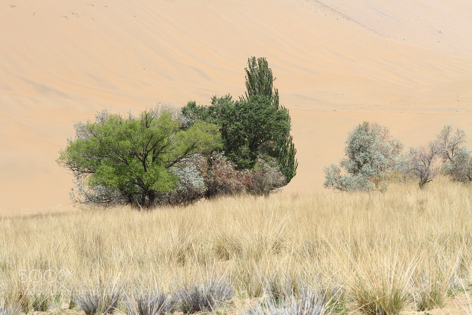 Canon EOS 7D sample photo. Phantom photography