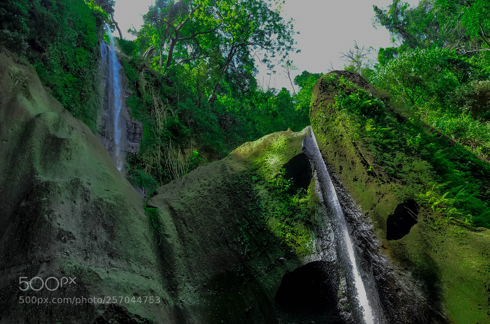 Nikon D7000 sample photo. Laurel nature philippines photography