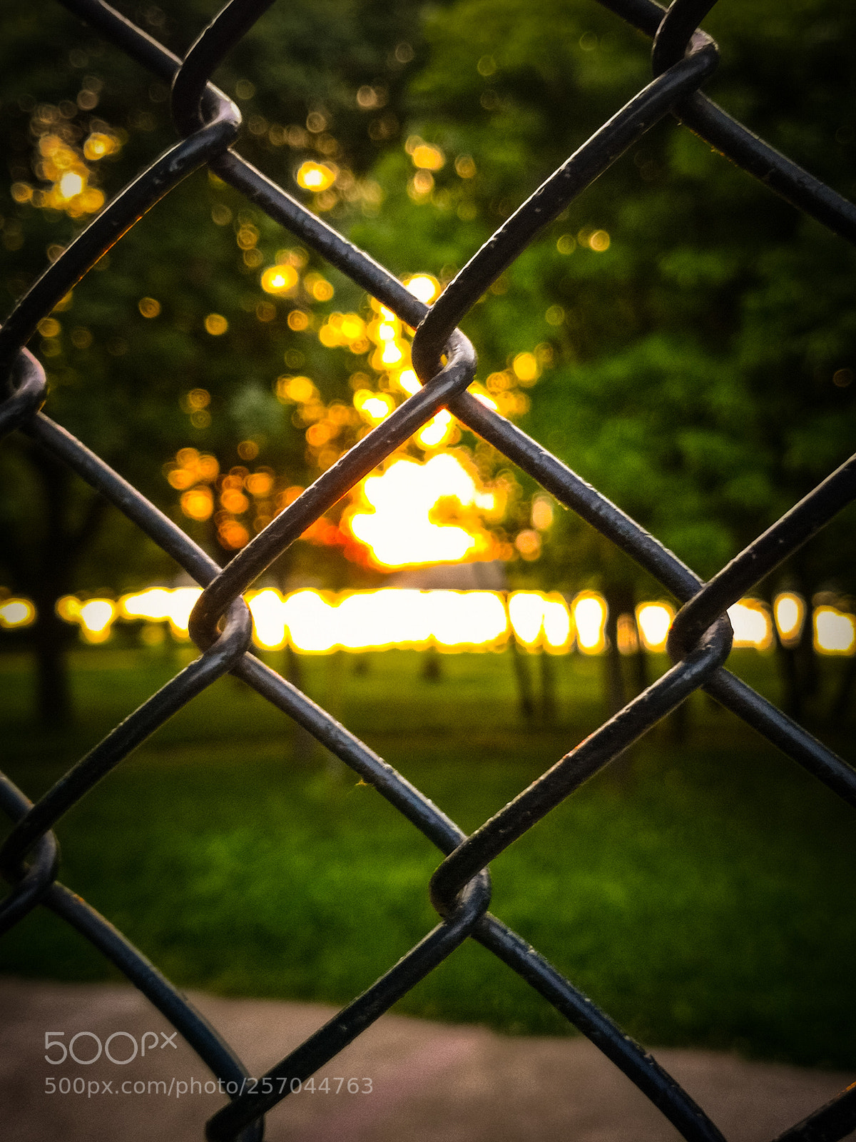 HUAWEI Mate 10 Pro sample photo. Untitled photography