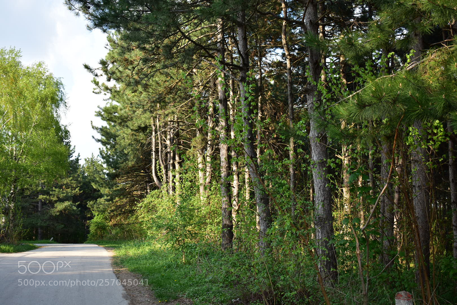Nikon D3400 sample photo. Untitled photography