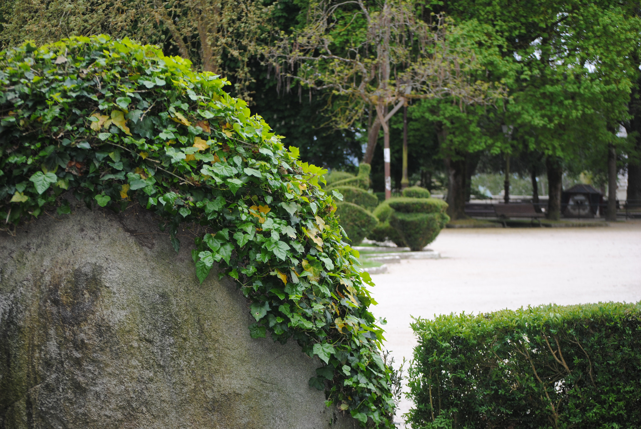 Nikon D3000 sample photo. Natural photography