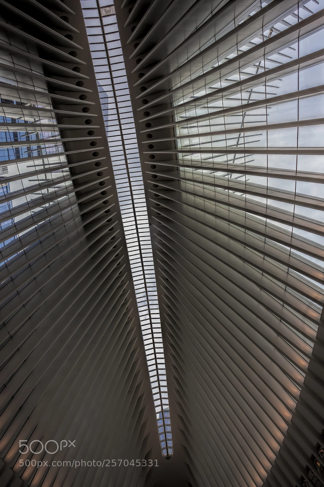 Canon EOS 5D Mark II sample photo. Ceiling of occulus building photography