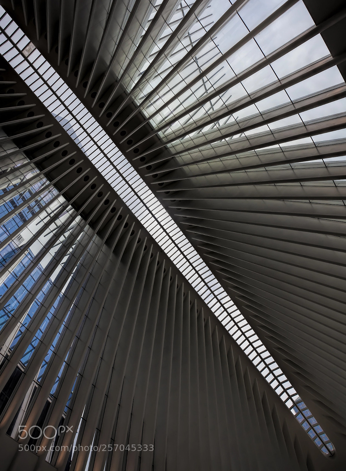Canon EOS 5D Mark II sample photo. Ceiling of occulus building photography