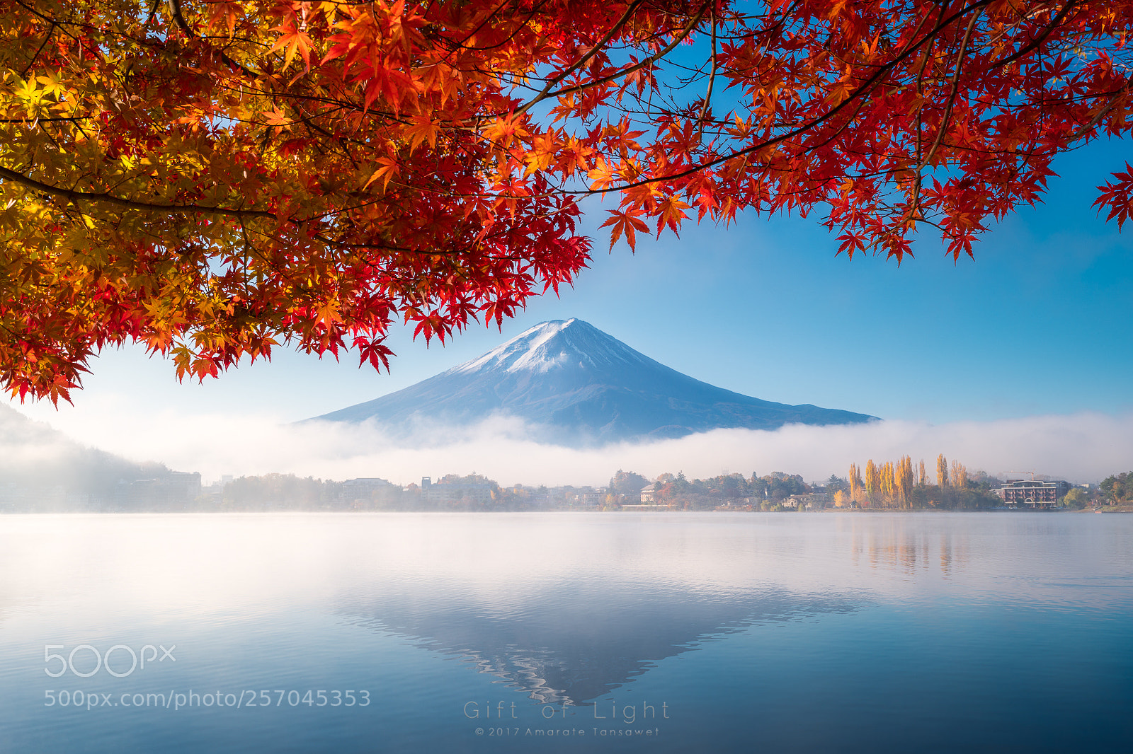 Sony a9 sample photo. Autumn pleasure photography