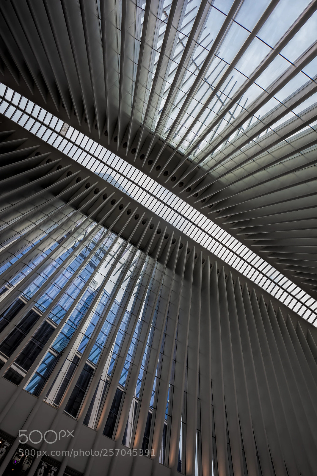 Canon EOS 5D Mark II sample photo. Ceiling of occulus building photography