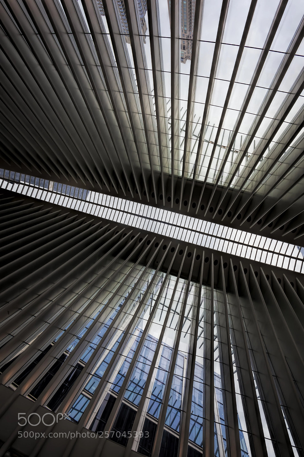 Canon EOS 5D Mark II sample photo. Ceiling of occulus building photography