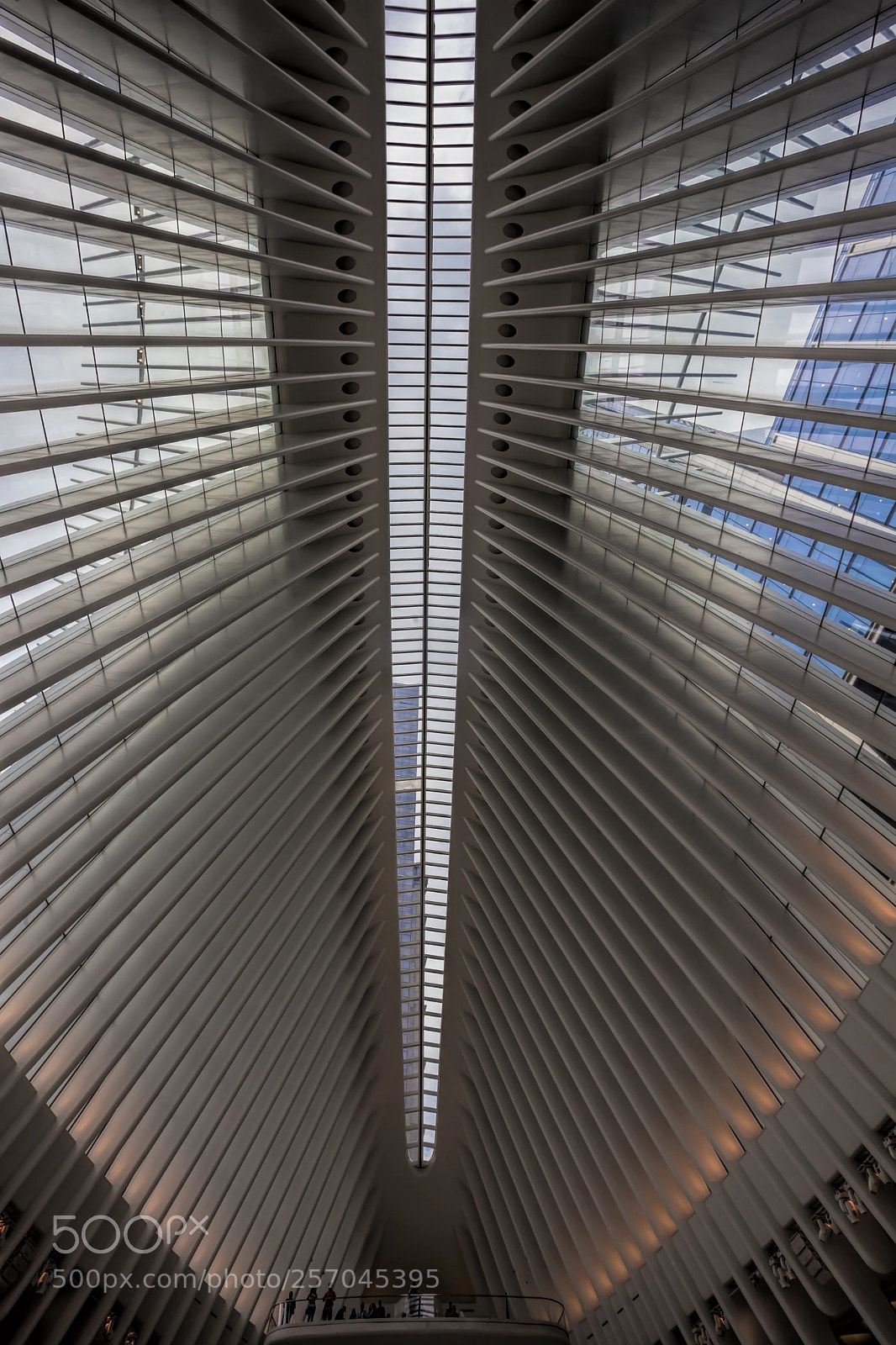 Canon EOS 5D Mark II sample photo. Ceiling of occulus building photography