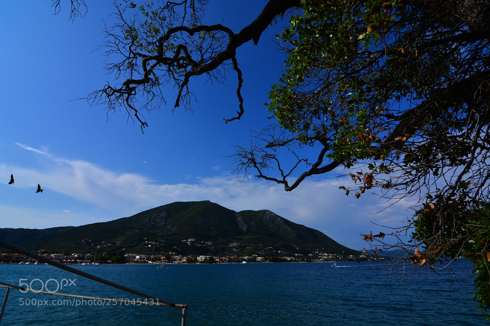 Nikon D5200 sample photo. L122 photography