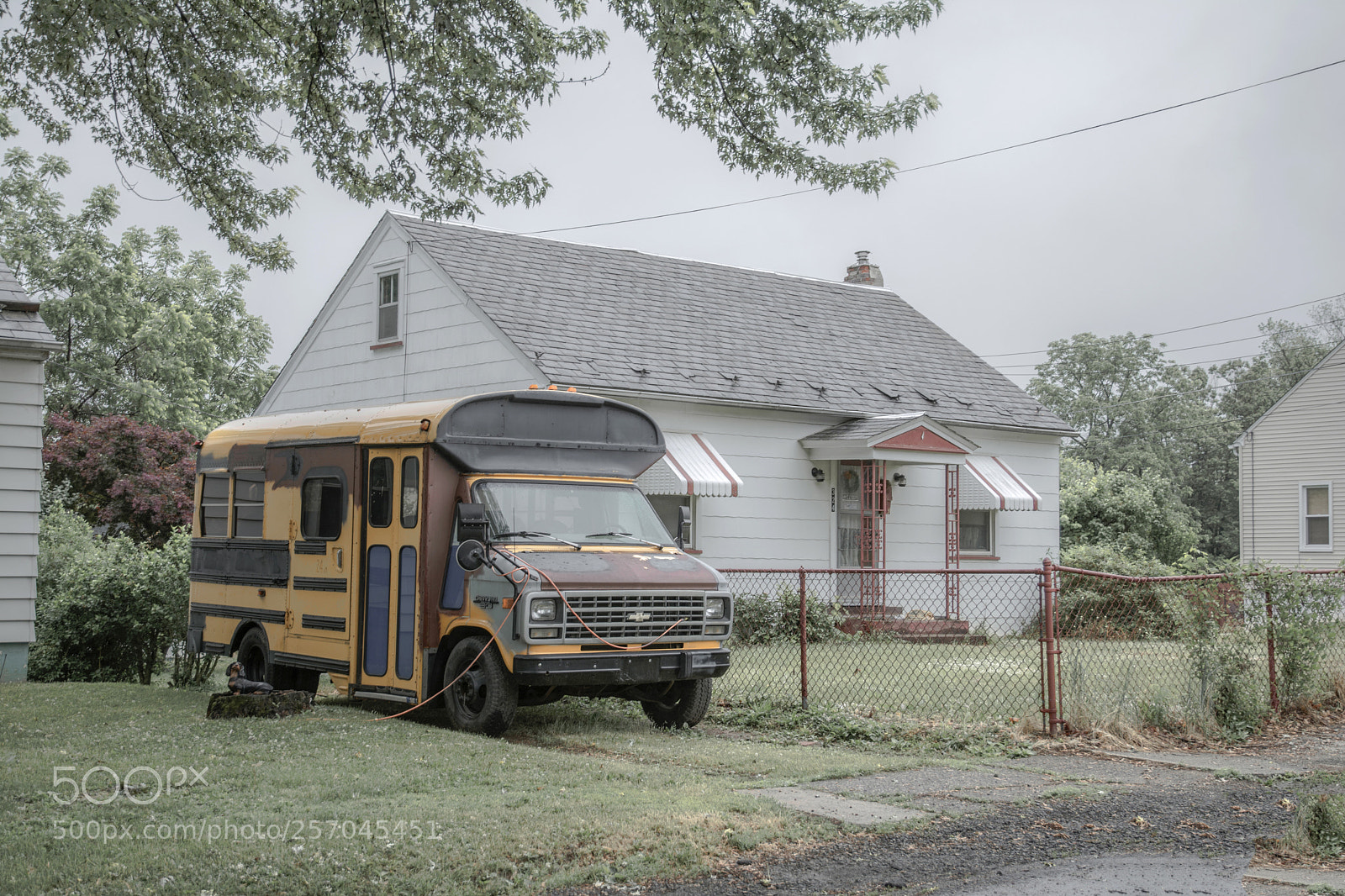 Nikon D7100 sample photo. My bus photography