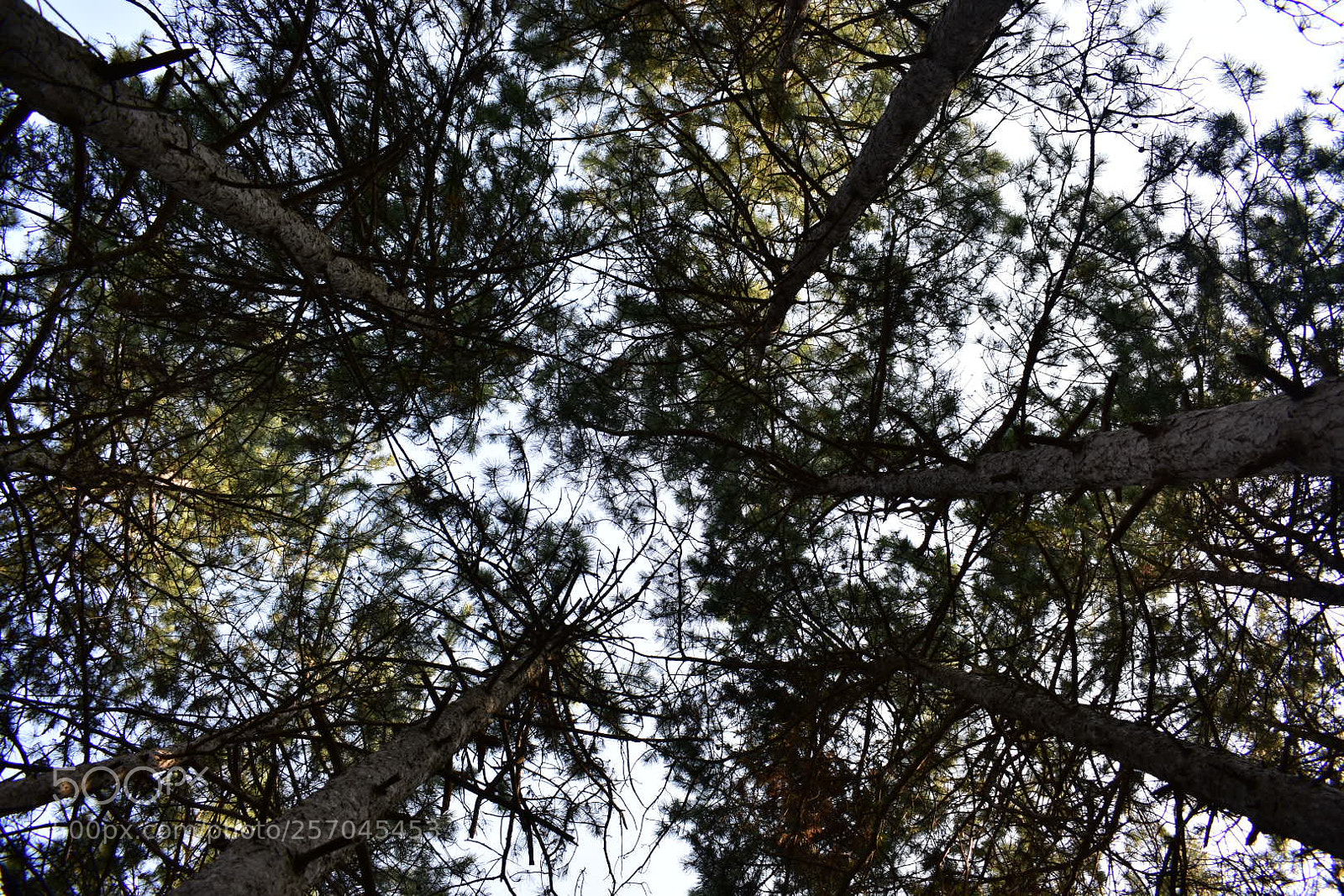 Nikon D3400 sample photo. Untitled photography