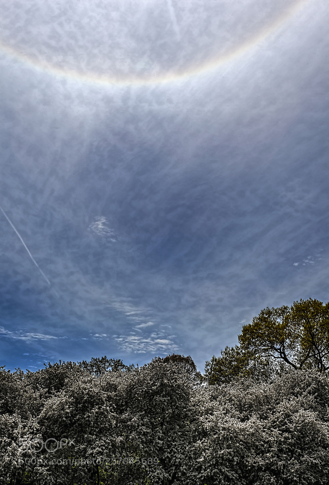 Canon EOS 5D Mark II sample photo. Trees sky and rainbow photography