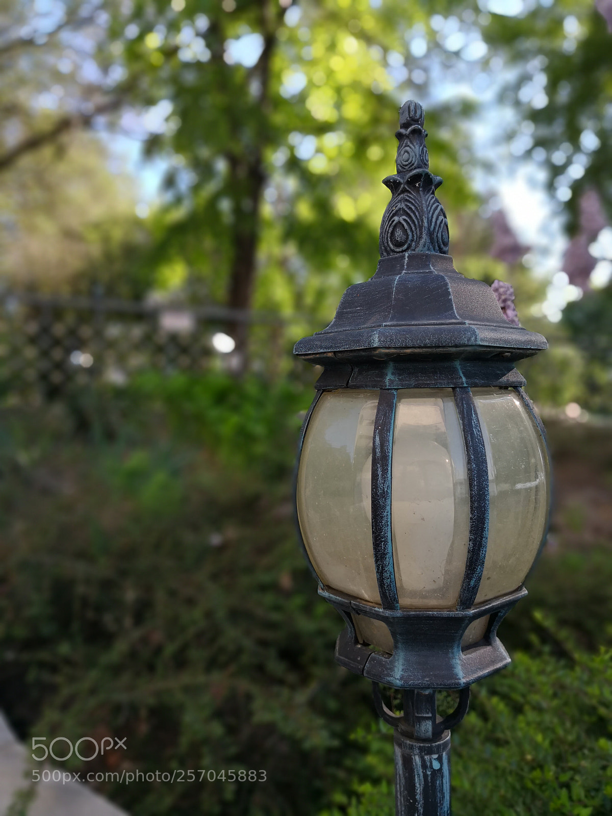 HUAWEI Mate 10 Pro sample photo. Untitled photography