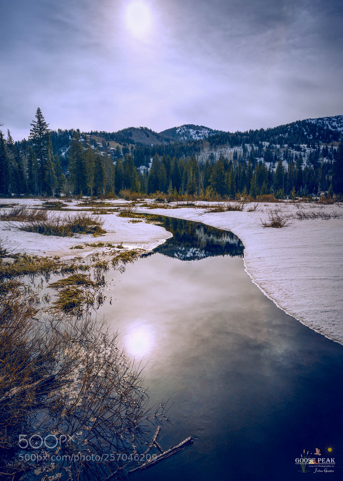 Sony a7R II sample photo. Into the sun photography