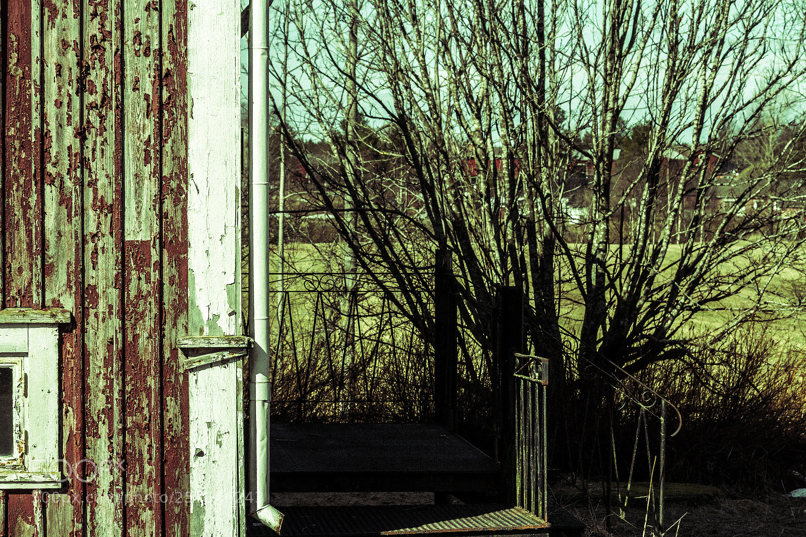 Canon EOS 7D sample photo. Step up photography