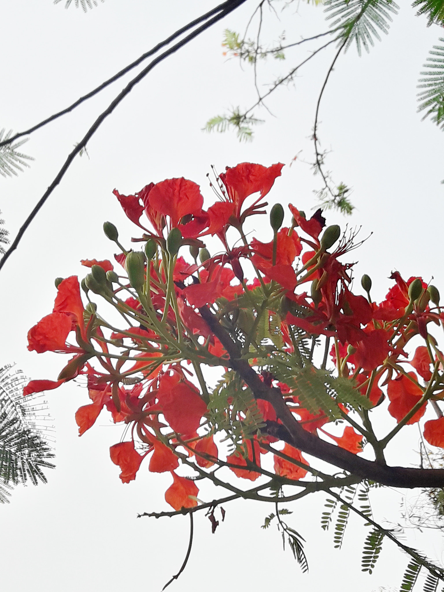 Samsung Galaxy J7 Neo sample photo