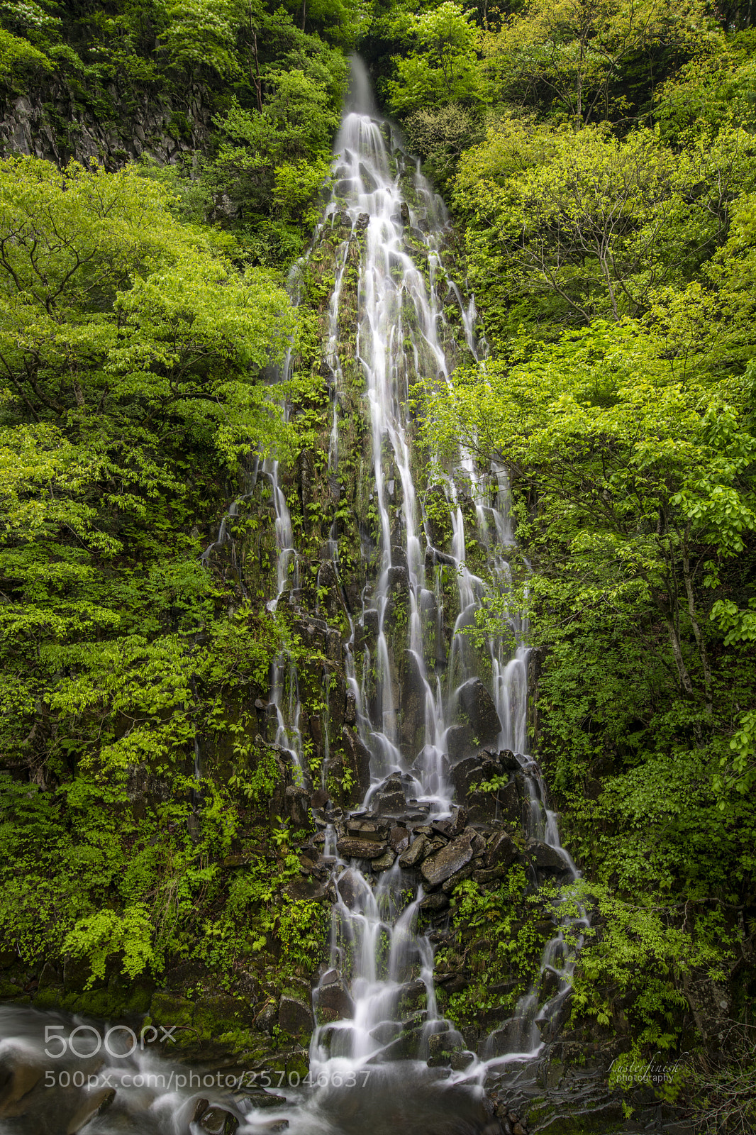 Nikon D850 sample photo. Taru-taki （樽滝） photography