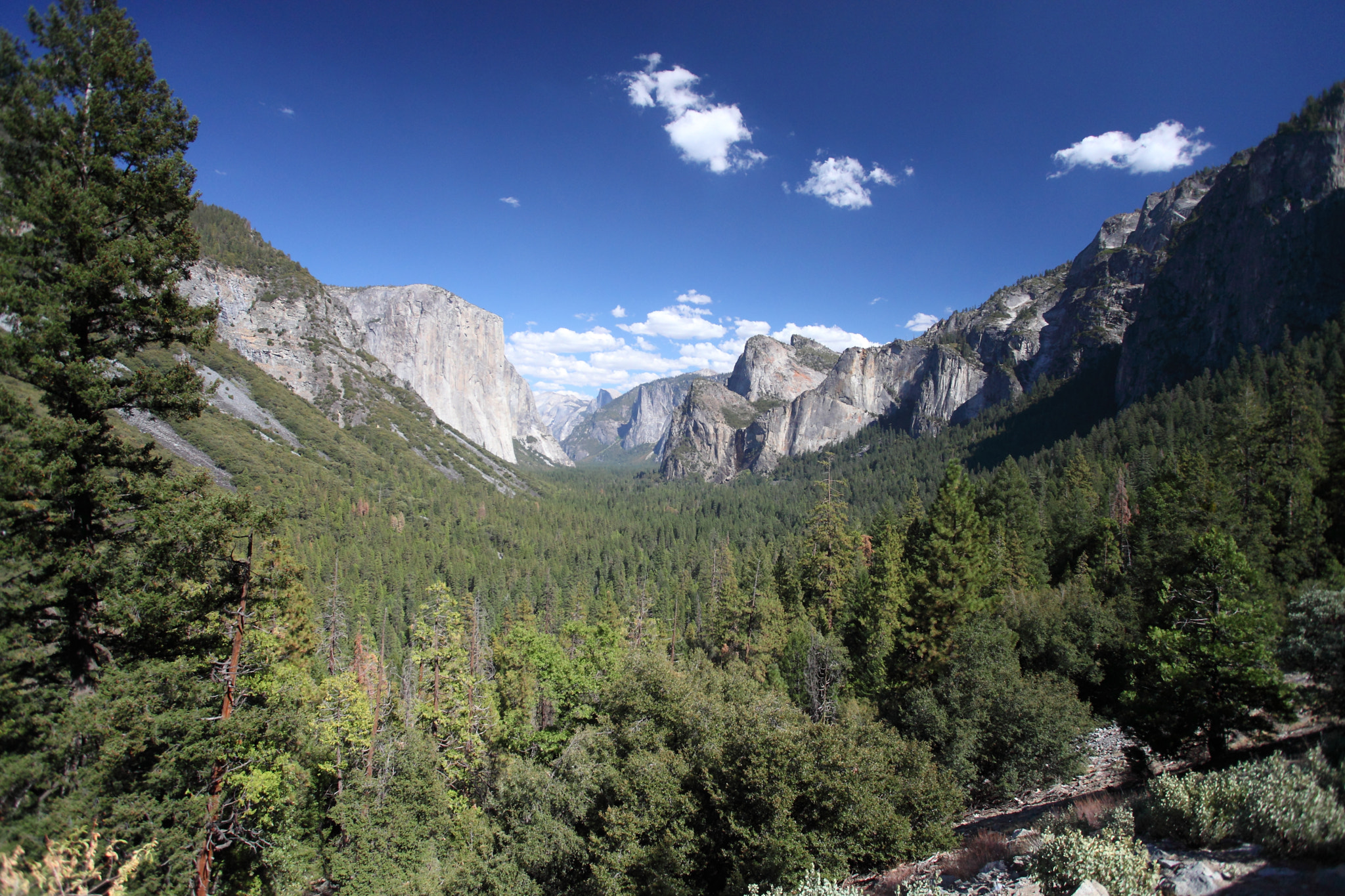 Canon EOS 5D Mark II + Canon EF 17-40mm F4L USM sample photo. Yosemite national park photography