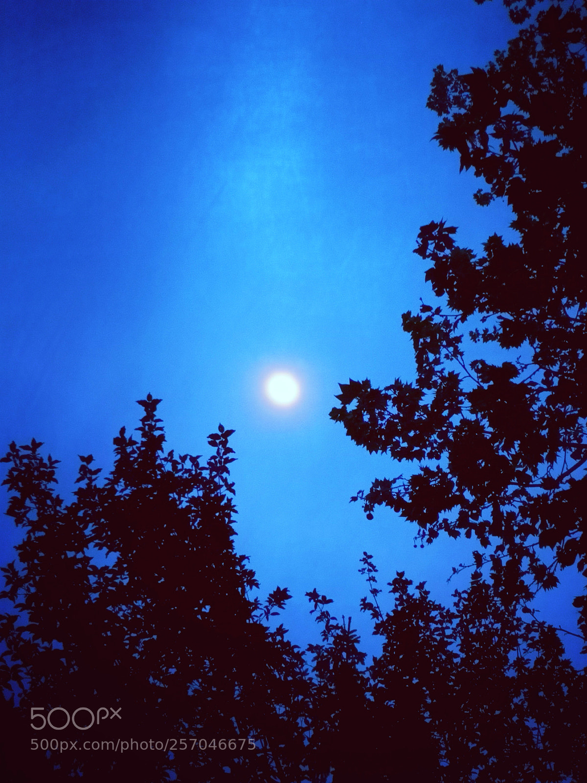 HUAWEI Mate 10 Pro sample photo. Untitled photography