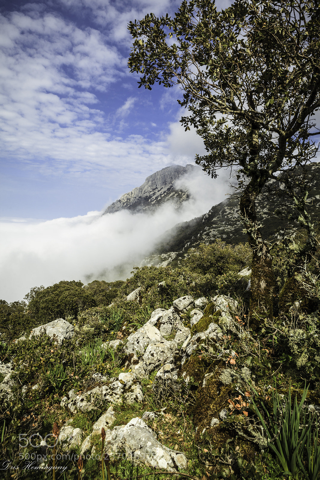 Canon EOS 5D Mark II sample photo. Kelti summit photography