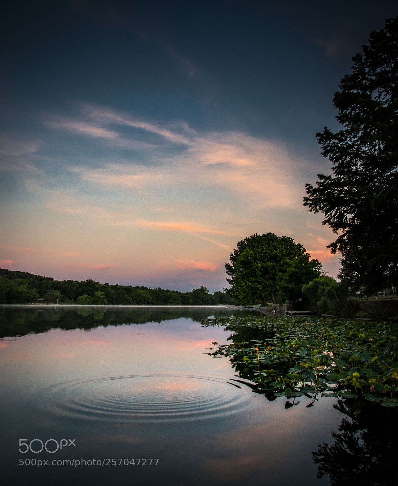 Nikon D610 sample photo. Dreaming photography