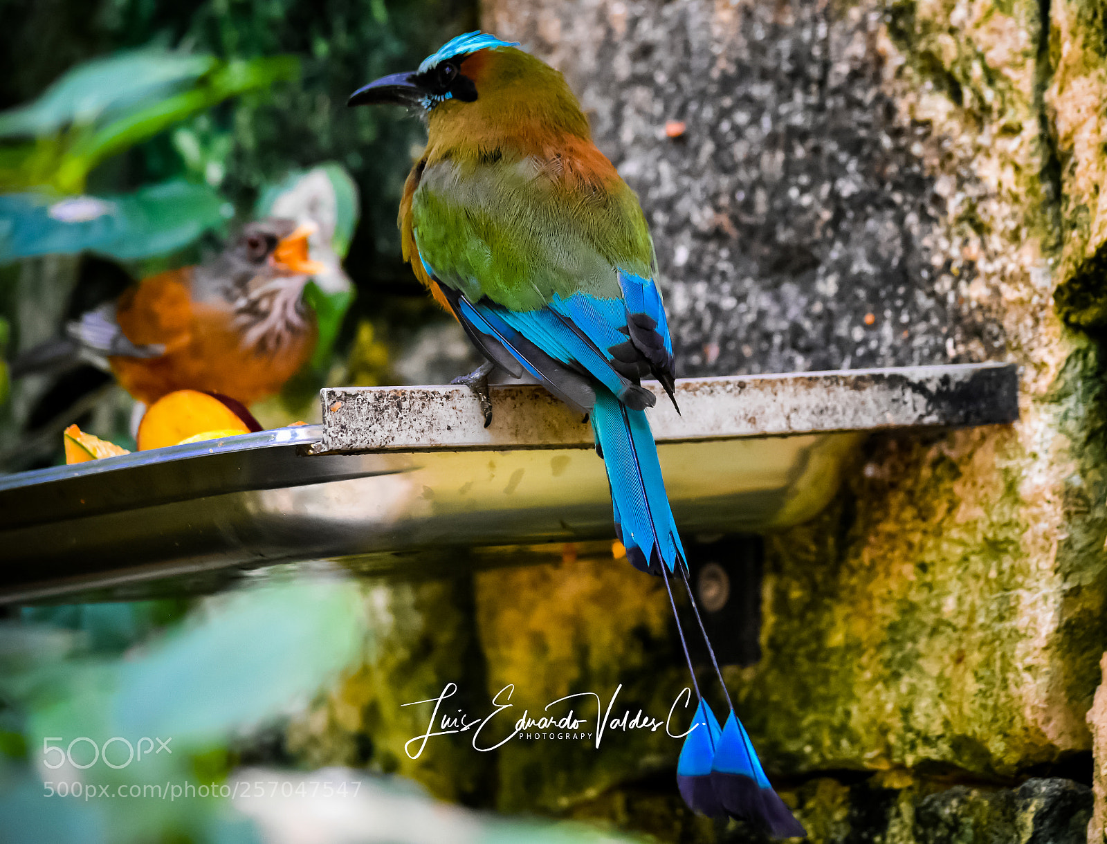 Nikon D7200 sample photo. Great colors! photography